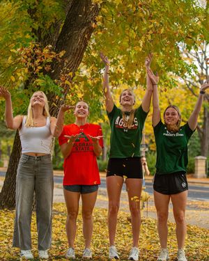 Image post by @csuswimdive on Instagram