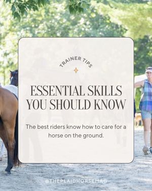 Image post by @theplaidhorsemag on Instagram