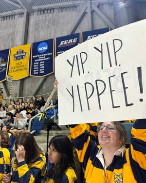 Image post by @qupepband on Instagram
