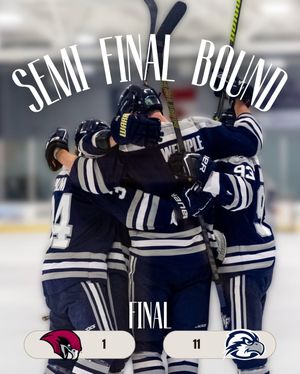 Image post by @unfhockey on Instagram