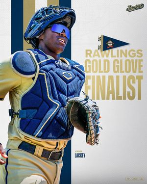 Image post by @gt_baseball on Instagram