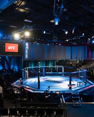 Image post by @ufc.japan on Instagram