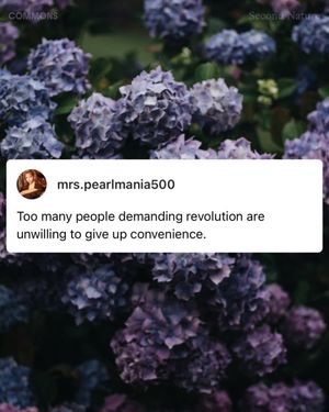 Image post by @commonsearth on Instagram