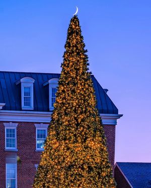 Image post by @igdc on Instagram