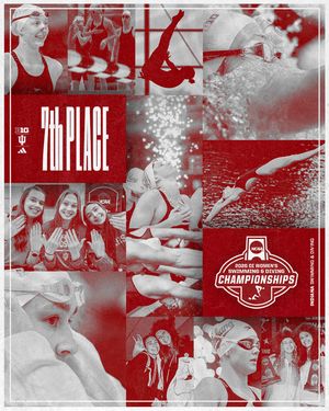 Image post by @indianaswimdive on Instagram