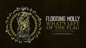 Video post by @riserecords on YouTube