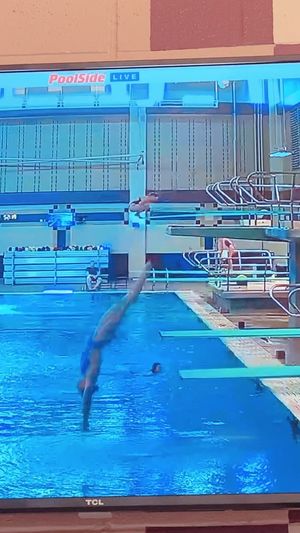 Video post by @lala_the_diver on Instagram