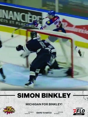 Image post by @flohockey on Instagram