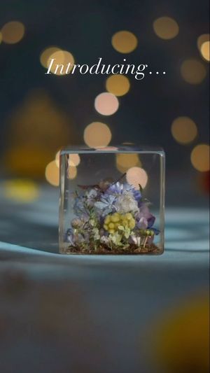 Video post by @leafyaffair on Instagram