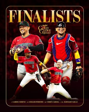 Image post by @dbacks on Instagram
