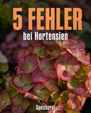 Image post by @oldenburgerwohngarten on Instagram