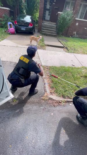Video post by @DetroitGSD on Facebook