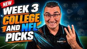Video post by @dolphinstalk on YouTube