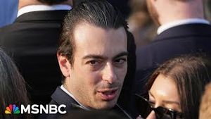 Video post by @msnbc on YouTube