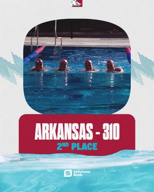 Image post by @razorbackswimdive on Instagram