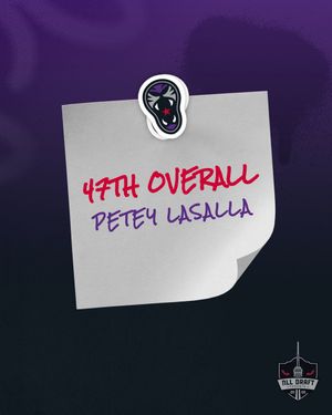 Image post by @PantherCityLax on Twitter