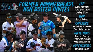 Image post by @GoHammerheads on Twitter