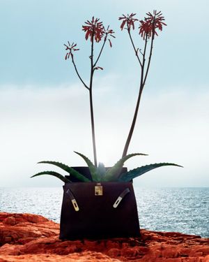 Image post by @hermes on Instagram