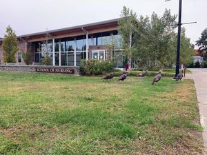 Image post by @rhodeislandcollege on Instagram
