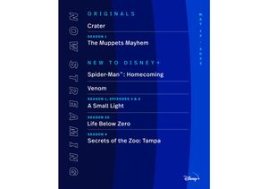 Image post by @DisneyPlus on Twitter