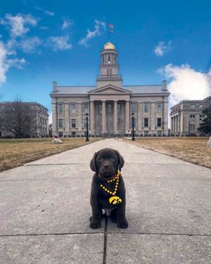 Image post by @iowaadmissions on Instagram