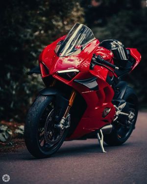 Image post by @panigalers on Instagram