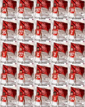 Image post by @ohiostathletics on Instagram