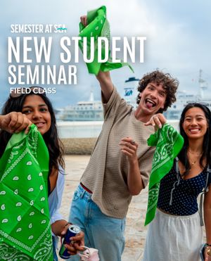 Image post by @semesteratsea on Instagram