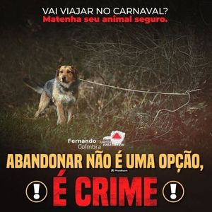 Image post by @fcfernandocoimbra on Instagram