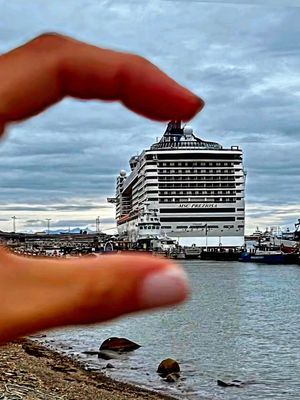 Image post by @msc.friends on Instagram