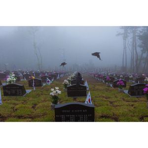 Image post by @lukefchavez on Instagram