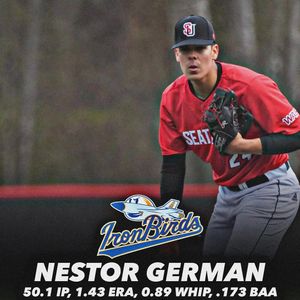 Image post by @oriolesnest_ on Instagram