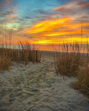 Image post by @southcarolina on Instagram