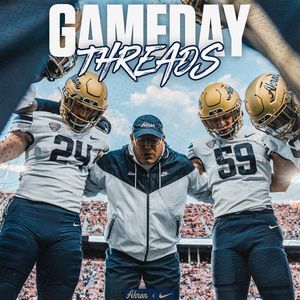 Image post by @zipsfb on Instagram