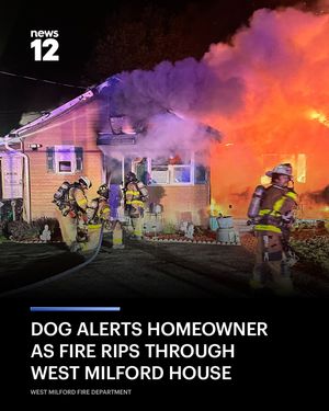 Image post by @news12nj on Instagram