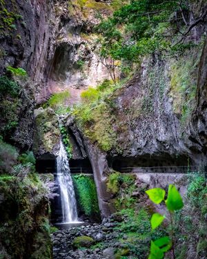 Image post by @cristan.nature.photography on Instagram
