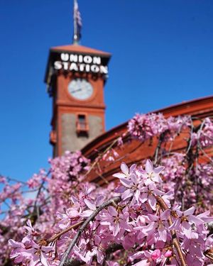 Image post by @amtrak on Instagram