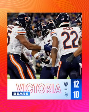 Image post by @bears_es on Instagram