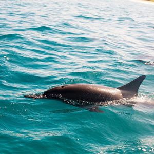 Image post by @capt.andys on Instagram
