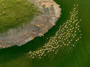 Image post by @droneartgallery on Instagram