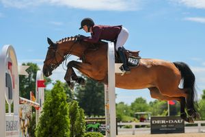 Image post by @kyhorseshows on Instagram