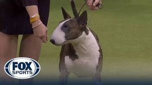 Video post by @foxsports on YouTube