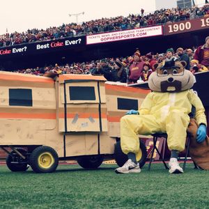 Image post by @goldythegopher on Instagram