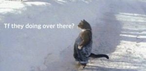 Image post by @UCLAEsports on Twitter