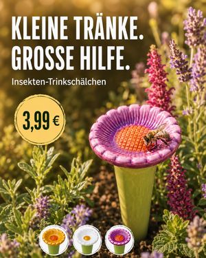 Image post by @oldenburgerwohngarten on Instagram