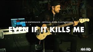 Video post by @paparoach on YouTube