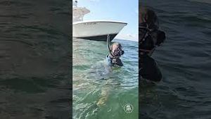Video post by @barstooloutdoors on YouTube