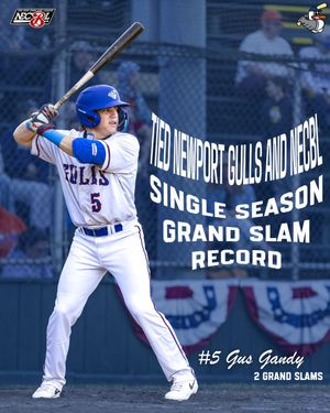 Image post by @newportgulls on Instagram