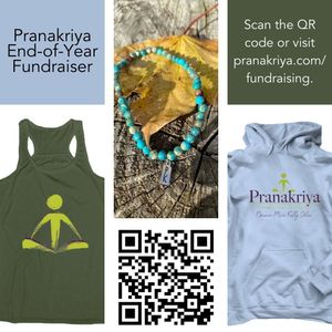 Image post by @pranakriya on Instagram