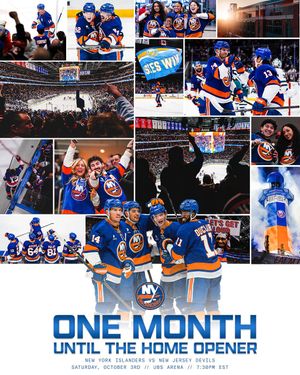 Image post by @nyislanders on Instagram